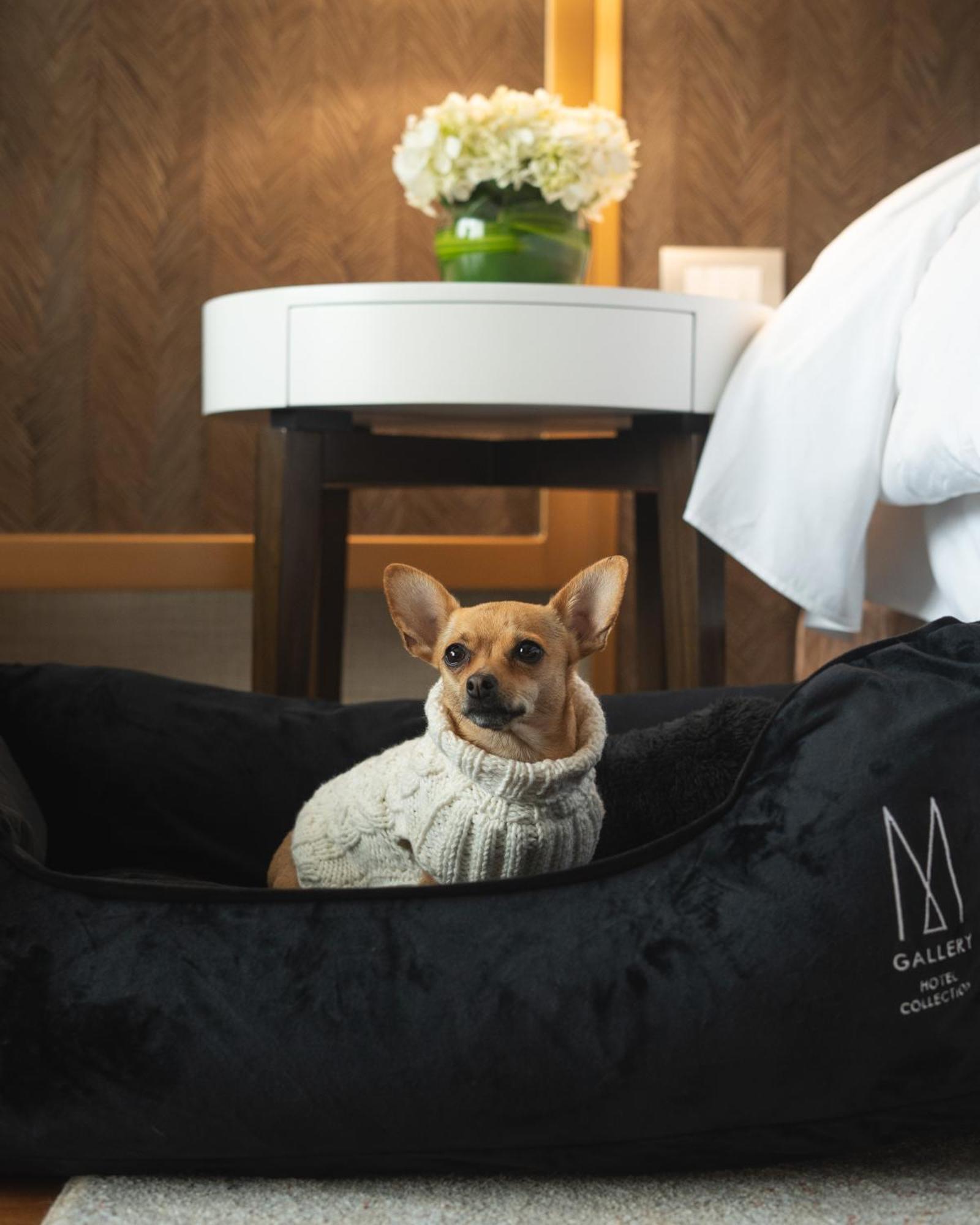 Manto Hotel Lima - Mgallery Exterior foto